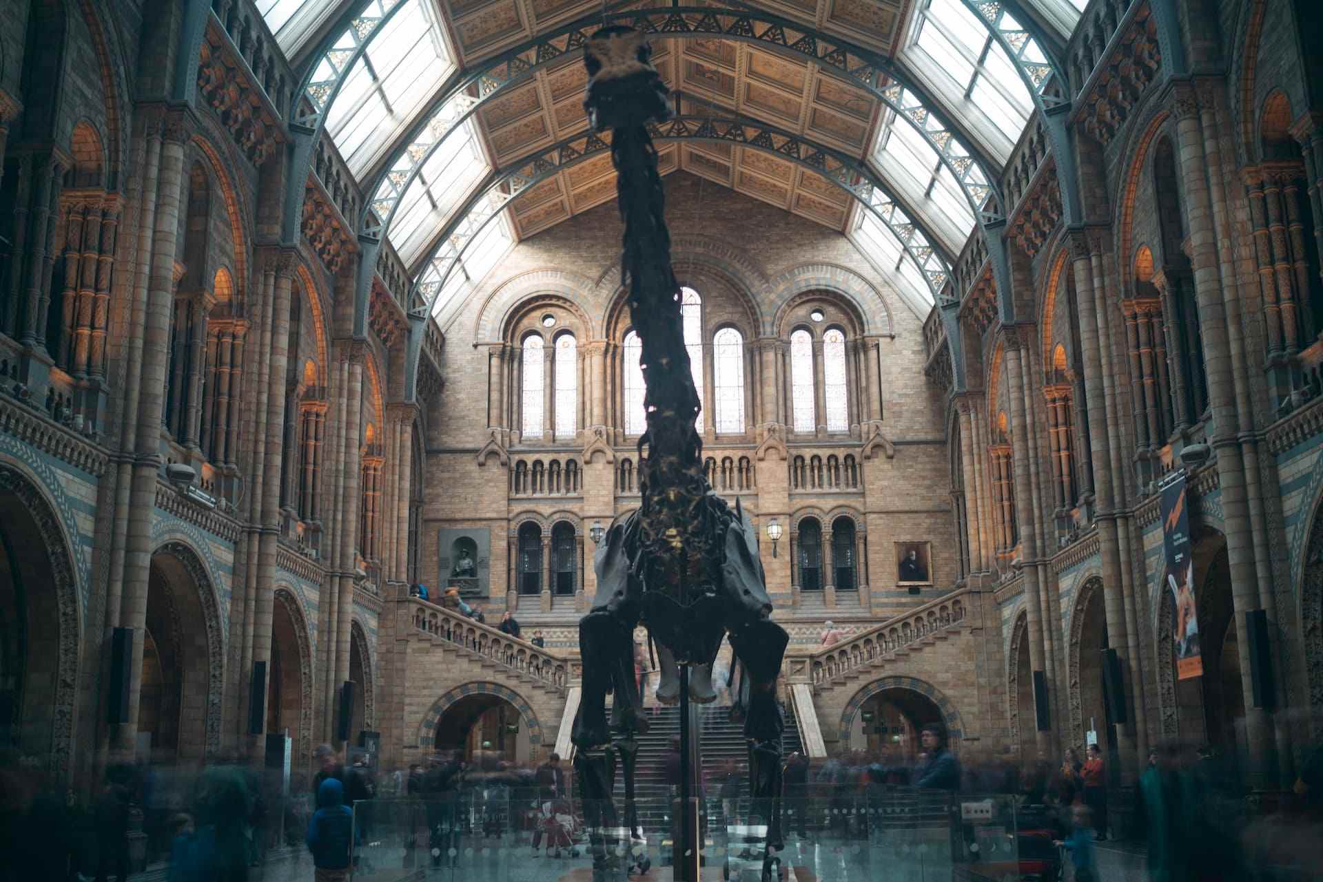 image of an big dinosaur fossile hanging down the roof in a big hallway, with people walking underneath it